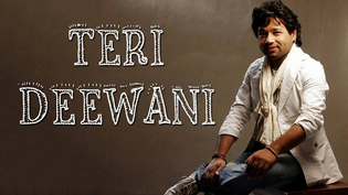 Teri Deewani Deewani Lyrics