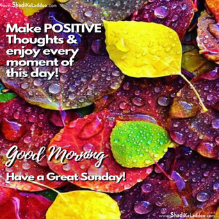 ❝Make positive thoughts and enjoy every moment of this day..!!❞