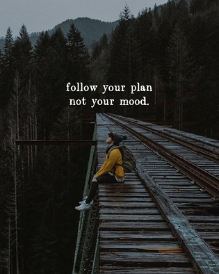 Follow your plan not your Mood 