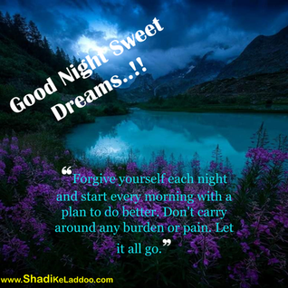 Good Night Quotes | ❝Forgive yourself each night and start every morning with a plan to do better. D