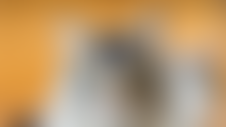 International Cat Day Quotes