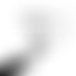 महीने फिर वही होंगे सुना है साल बदलेगा..परिंदे फिर वही होंगे शिकारी जाल बदलेगा Happy New Year 2025