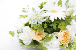 __www.pakutaso.com_shared_img_thumb_TSU862_ohana