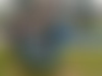 Nieuwe aanwinst in speeltuin de Roetsj! 