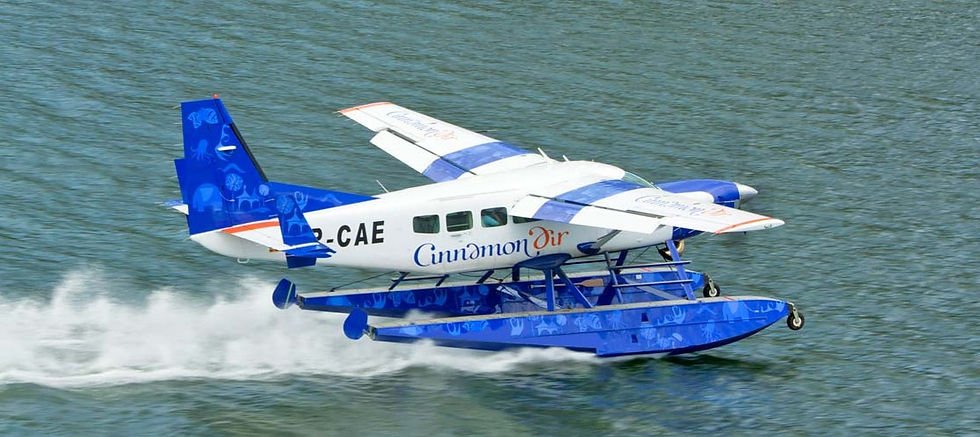 Cinnamon Air Sea Plane Service