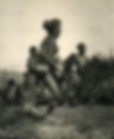 img016_edited.jpg