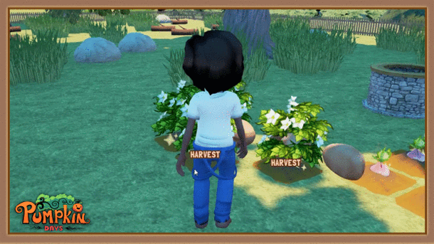 Farming_Pumpkin_Days.gif