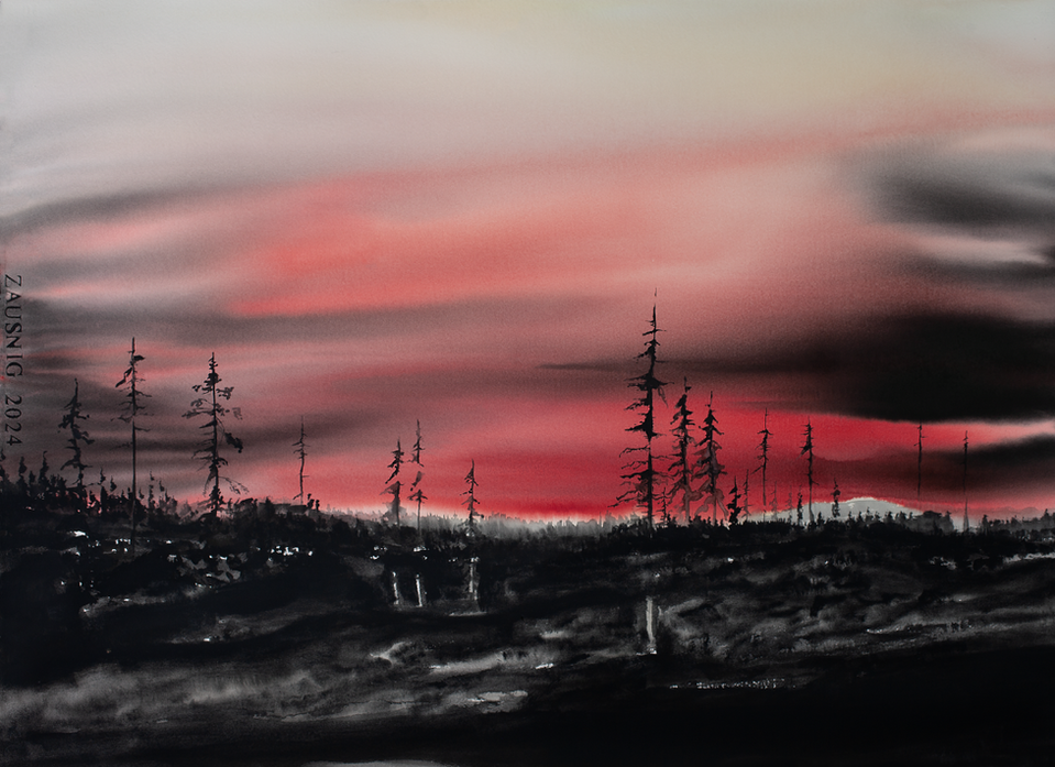 Mörk Skog av Daniel Zausnig
