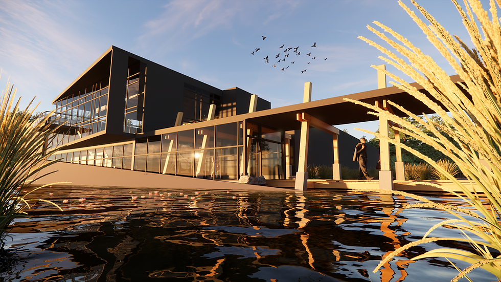 Water Perspective.png