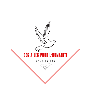DES_AILES_Pour_l_humanite-removebg-preview.png
