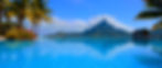 website banner design.jpg