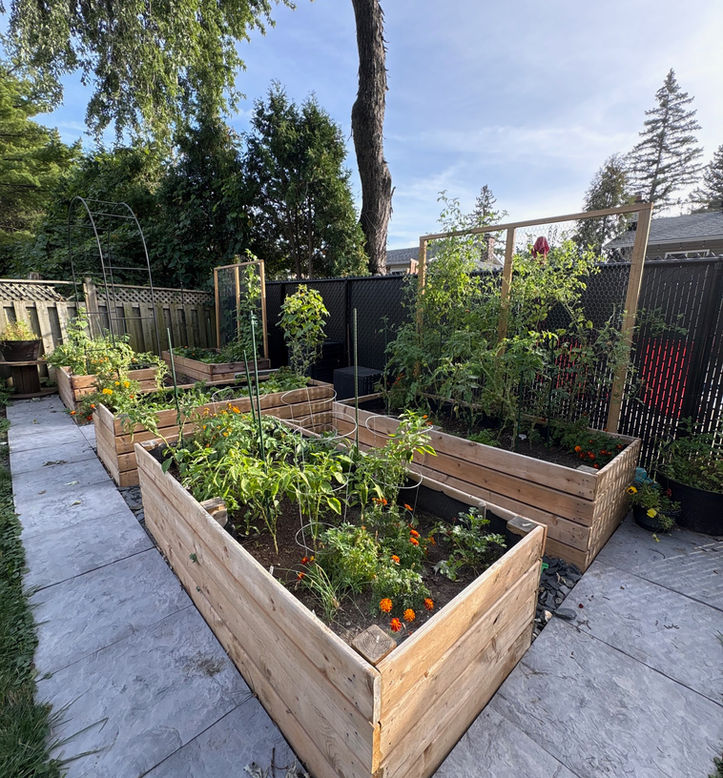 Construction de bac à jardin surélevé à Laval