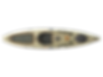 Tan Tarpon.png