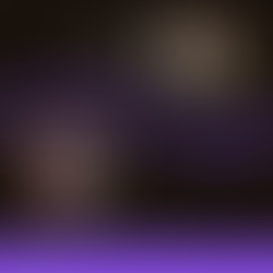 Entrevista com Editora Sunbee