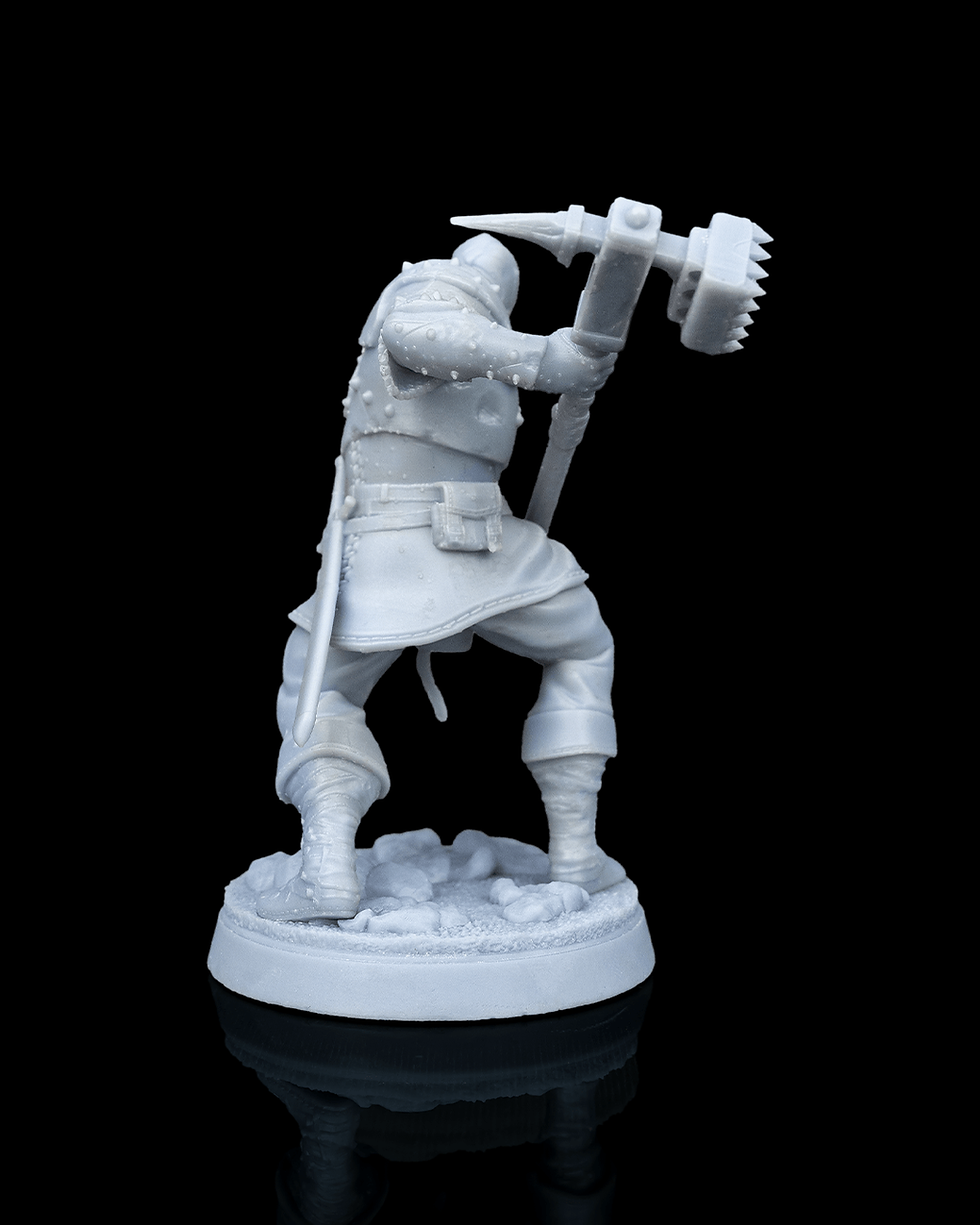 Thumbnail: Malleus, Dragon Cult Soldier - DC08