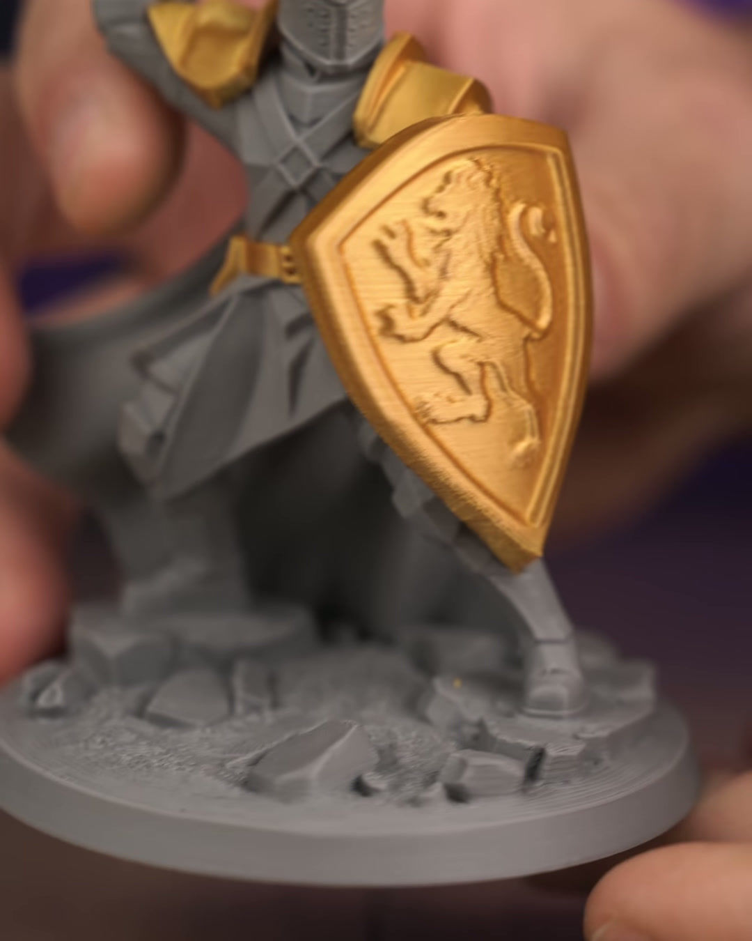 Lionshield Knight - RW05