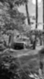 deaa9a3f-d0aa-4f77-8655-d0918635bf85_edited.jpg