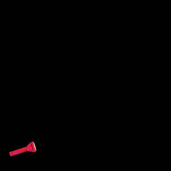 Flashlight GIF 2.gif