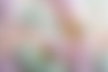 Le test du marshmallow ou comment réussir sa vie