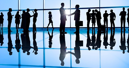 Cangem works with export import brokers & traders