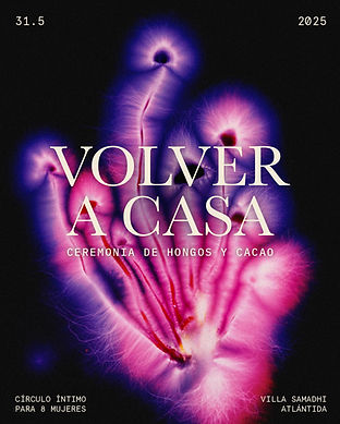 VOLVER A CASA_1.jpg