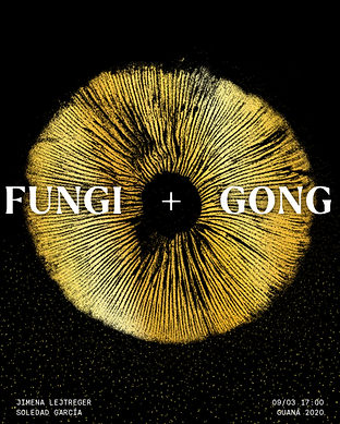 fungigong_post1.jpg