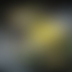 Votre semainier culinaire, 7-11 déc. => CHRISTMAS BODY