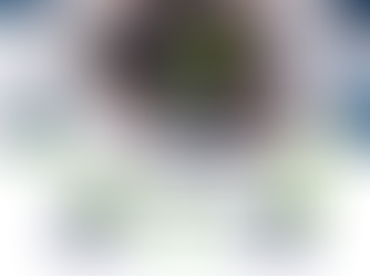 🧁Fit-Babeczki🧁 Fit Straciatella z Borówkami