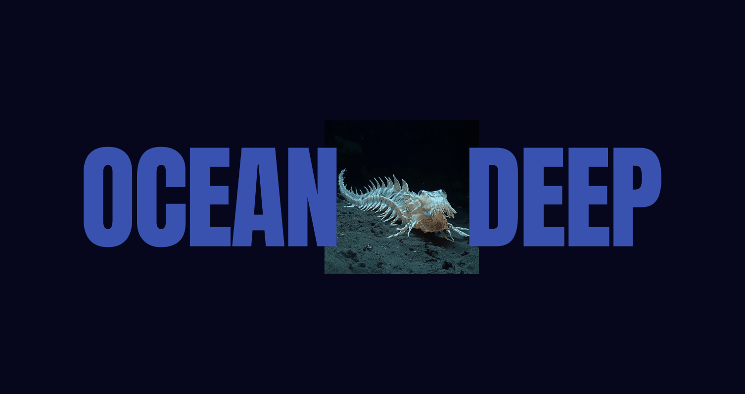 OCEANDEEP – Naming, Visual Identity, 3D and Motion by LOTIPA Studio, image 01 of 38