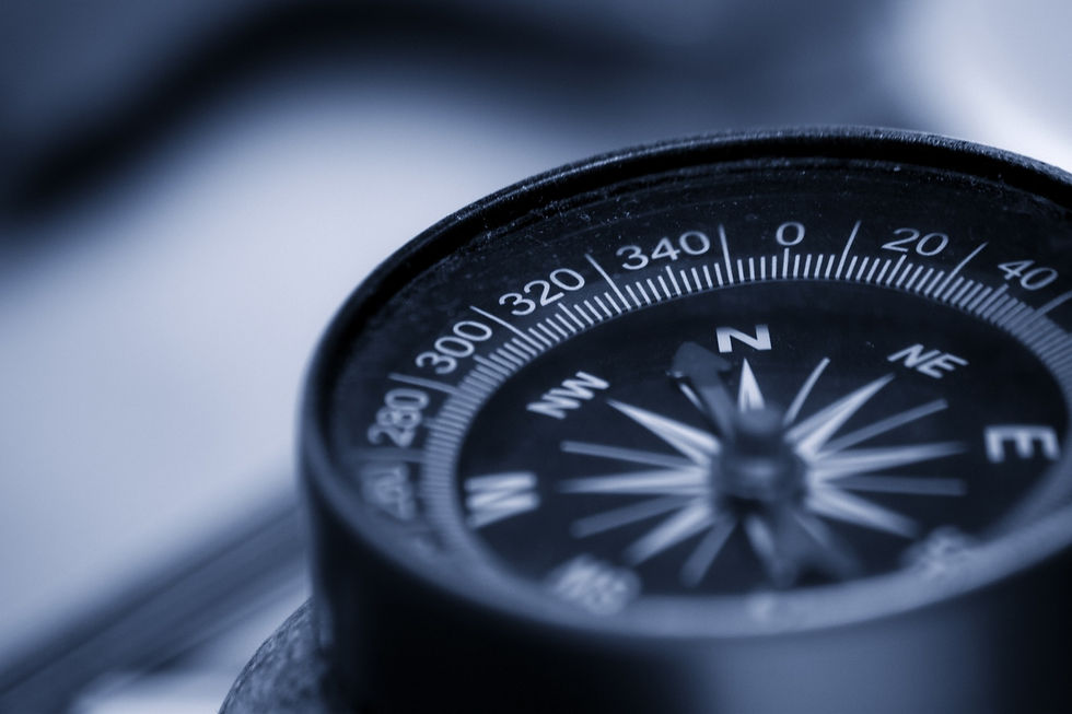 Nurse leadership internal compass