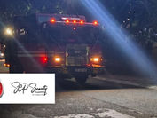 🌳 FALLEN TREE CLEARED | FERNDALE