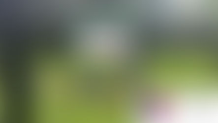 🚨 SCP SECURITY |COMMUNITY CLEAN-UP 🚨