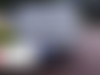 🚨 STOLEN VEHICLE RECOVERED | ROOSEVELT PARK 🚨