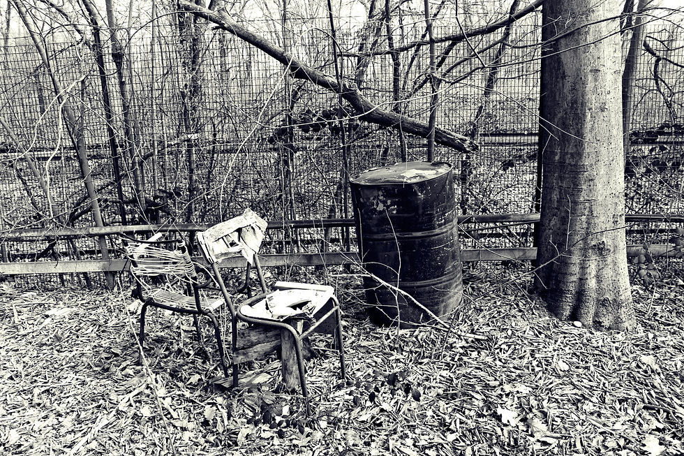 The broken chair and the bin