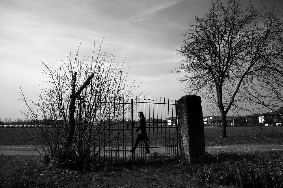 Surreal stroll