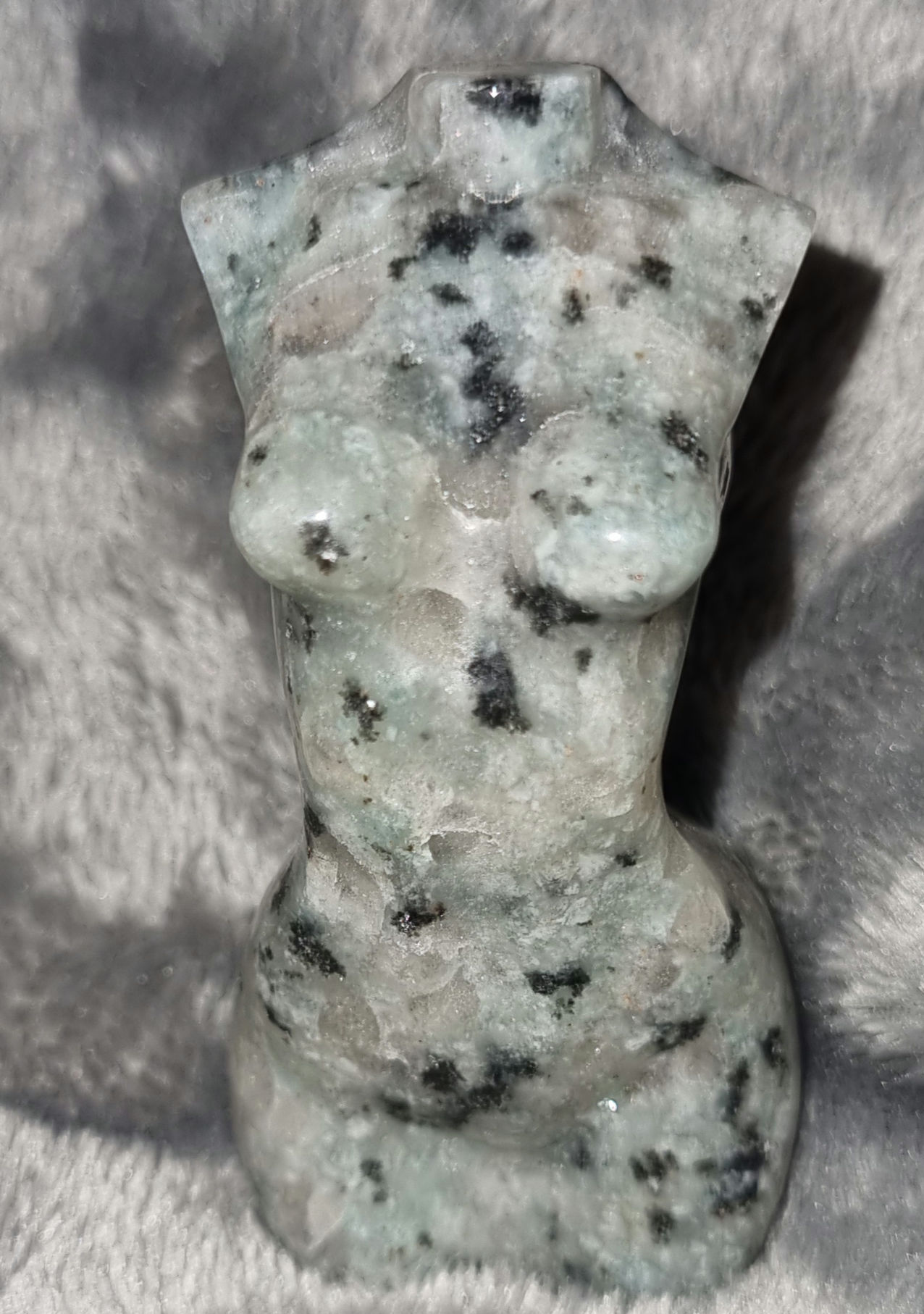 Kiwi Jasper Body - 2