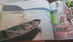 AMAZONAS
