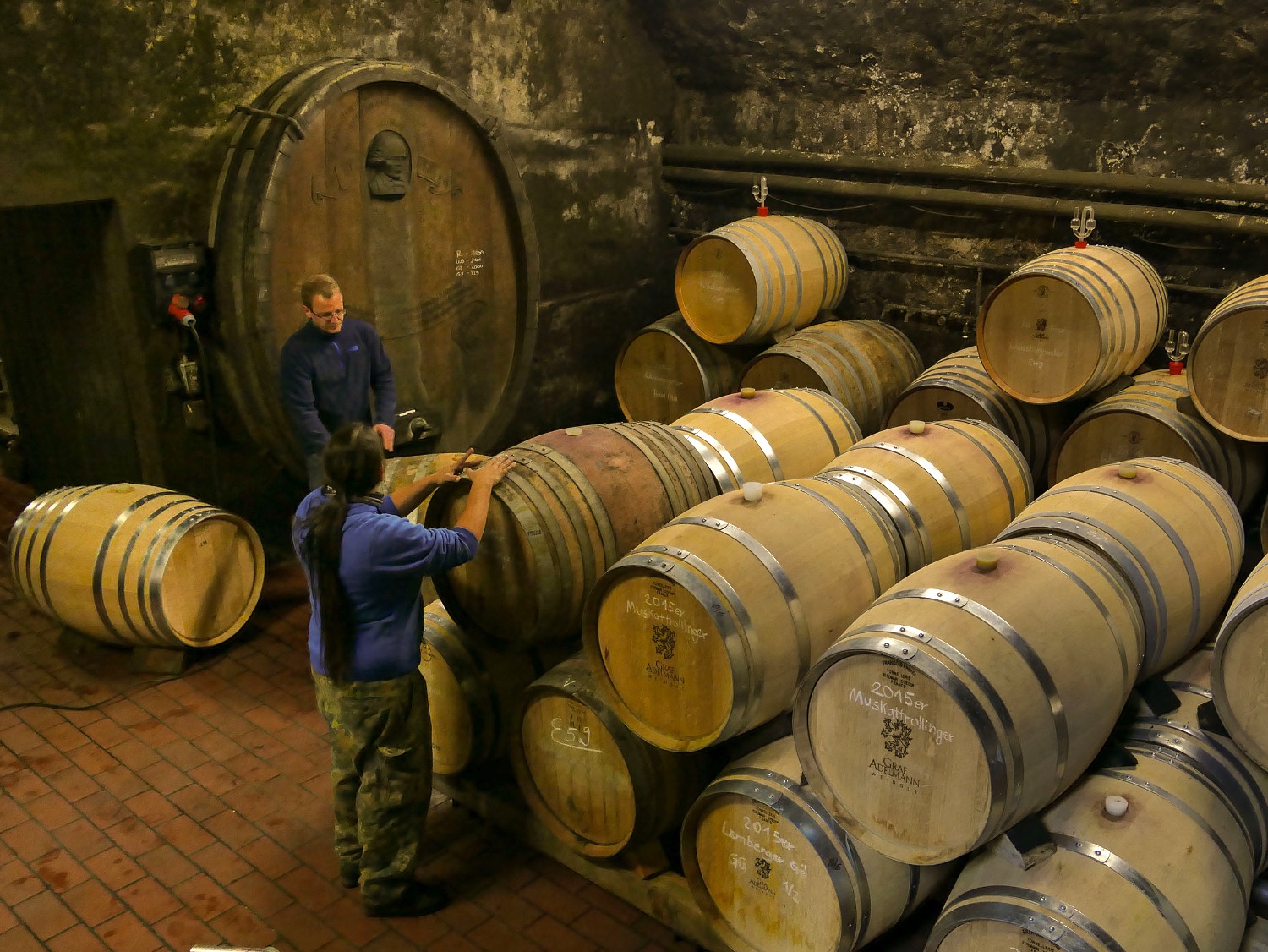 Weingut Graf Adelmann Weingut seit 1297