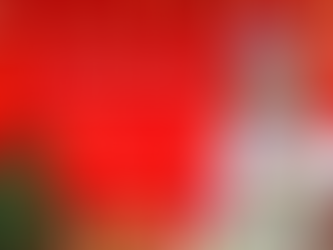 História de Natal Infantil 2025 A Árvore das Boas Ações