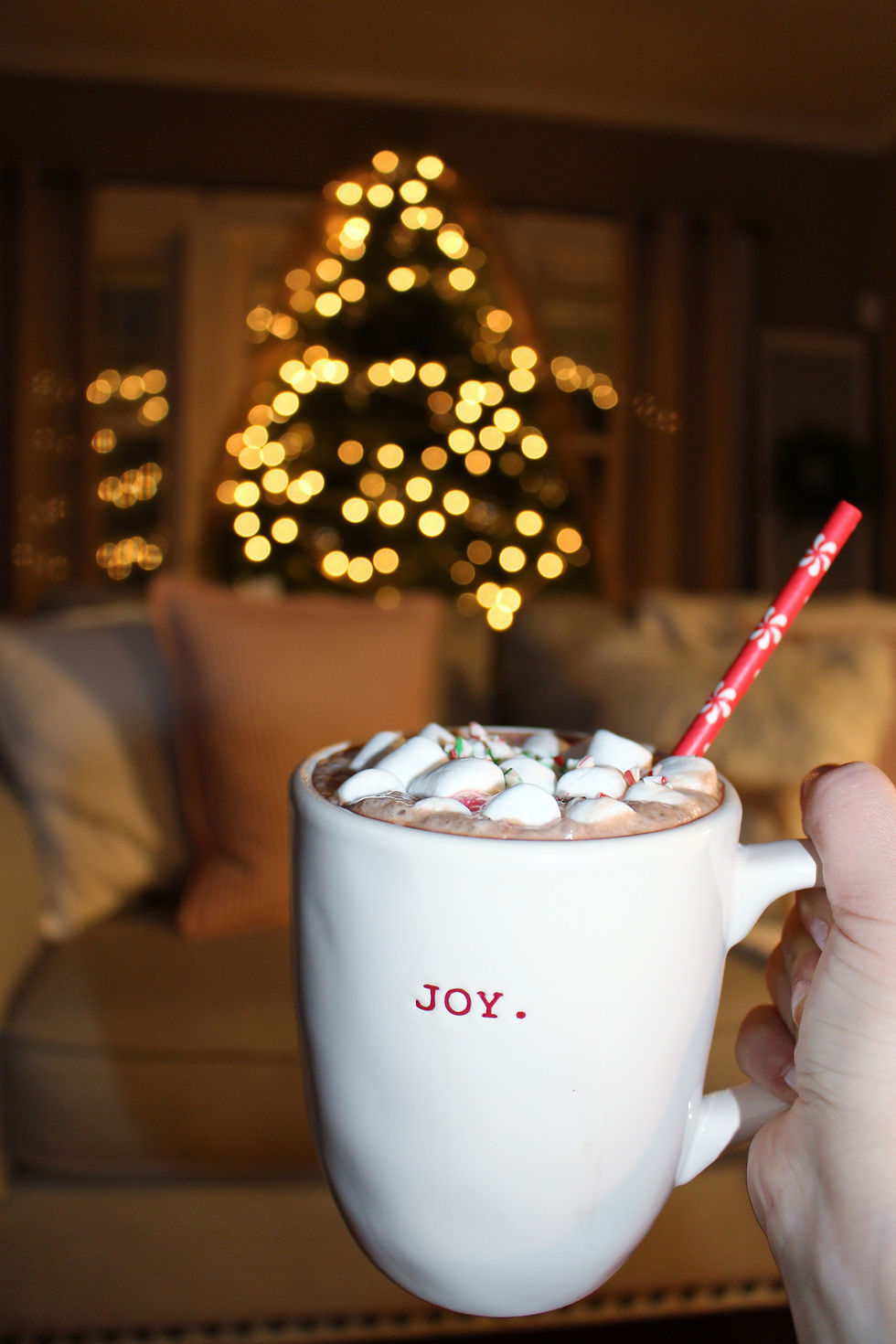 Joy Rae Dunn Mug