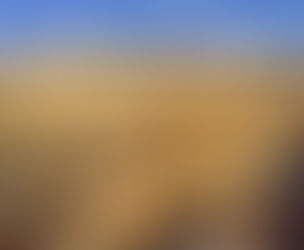 Man shall not live by bread alone