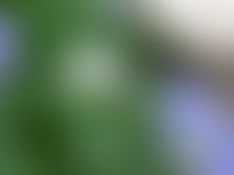 校長ブログ（7月）