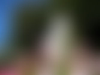 校長ブログ（5月）