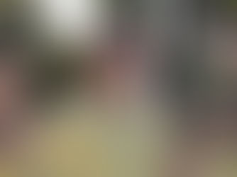 運動会（６年生）