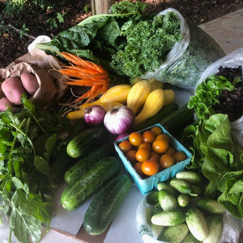 CSA share tomatoes potatoes carrots cucumbers vegetables farm fresh
