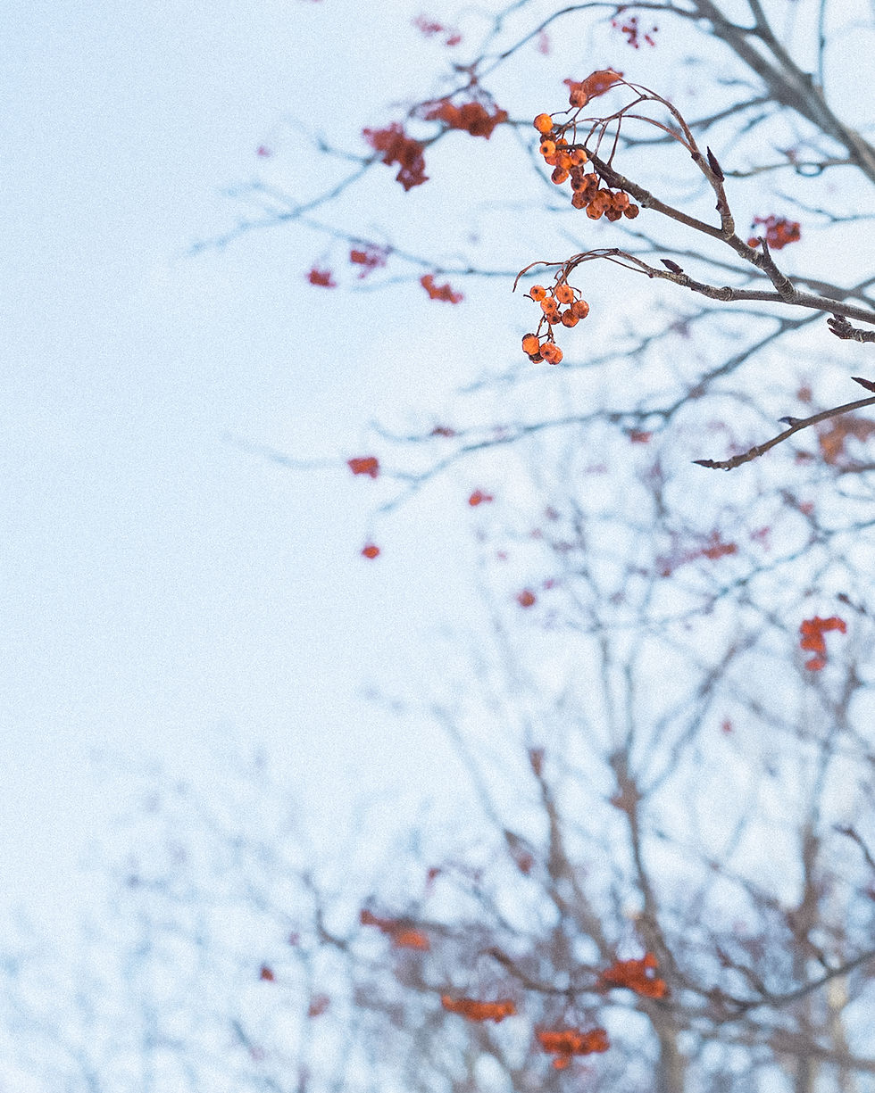北海道婚紗 美式婚紗 Arther Chen Photography Jacqueline & KK Engagement(Pre-Wedding) in Hokkaido