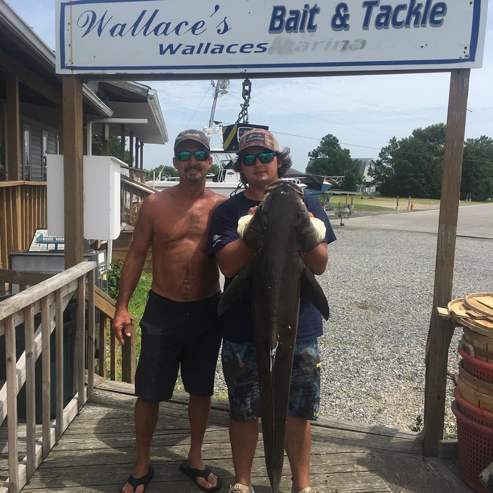 Bait Wallace's Bait & Tackle United States