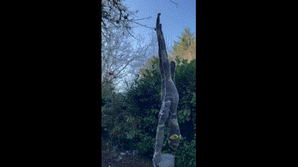 HANGING - Made with Clipchamp.gif