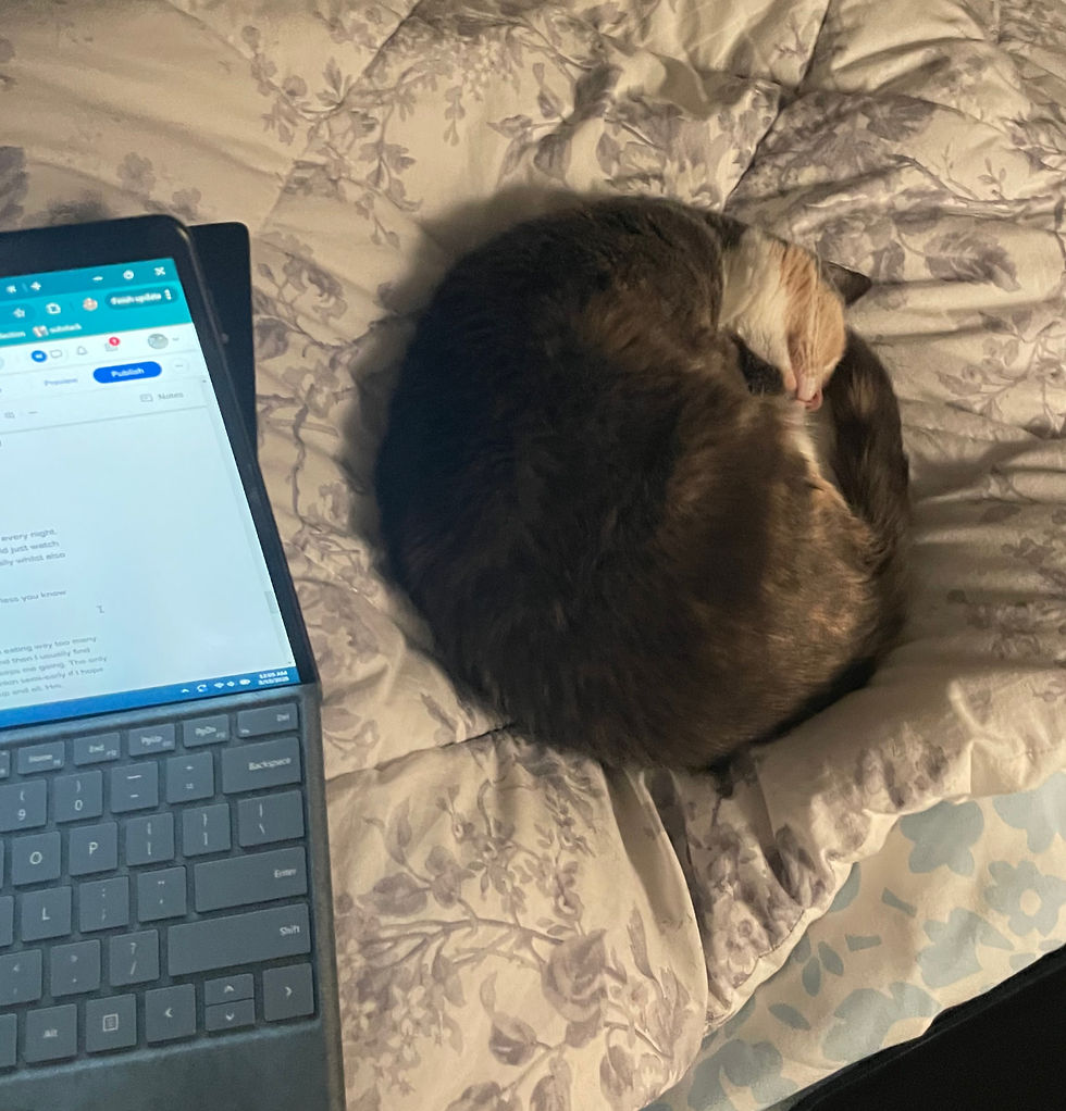 luv letters-ception