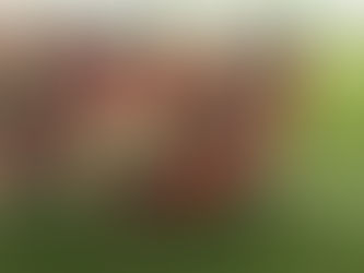 Awesome Activity Day In Bekan